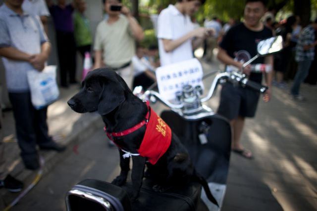 Η ημέρα σε φωτογραφίες (15 Σεπτεμβρίου 2012)